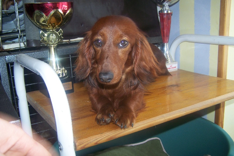 Publication : de la Générade