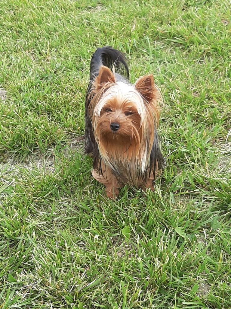 Publication : de la Générade Auteur : Loubaresse Laurence