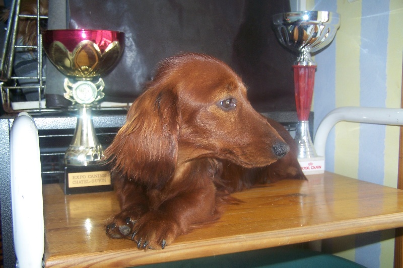 Publication : de la Générade