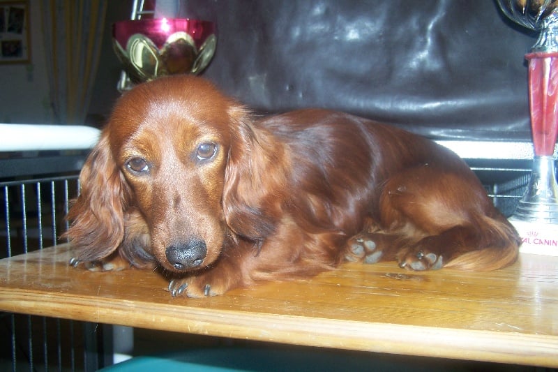 Publication : de la Générade