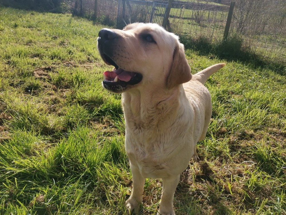 UKA Des Terres De Beaulieu