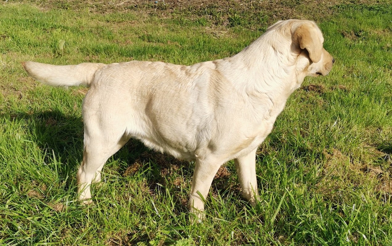 UKA Des Terres De Beaulieu