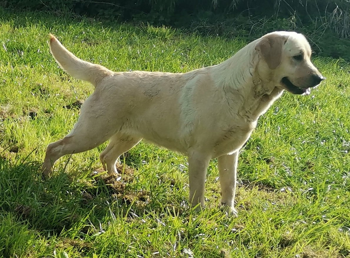 UKA Des Terres De Beaulieu