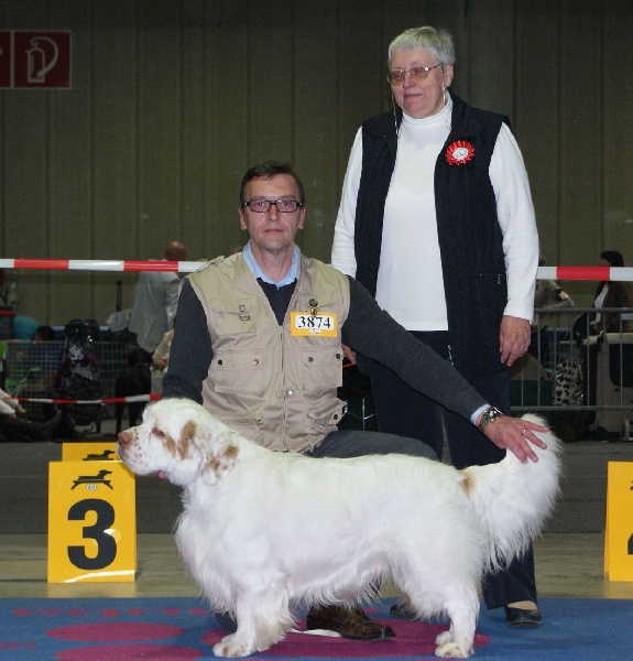 TR. CH. François 1 er Des Adrilines d'Opale - 1exl CACL CACIB MDR