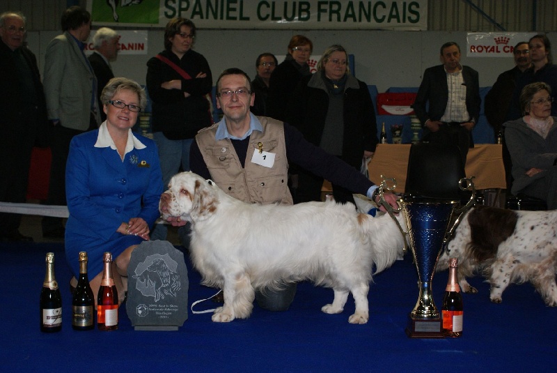 TR. CH. François 1 er Des Adrilines d'Opale - 1 exc jeune MDR Réserve BEST IN SHOW