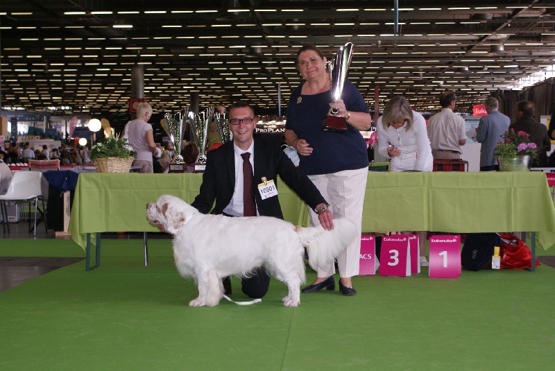 TR. CH. François 1 er Des Adrilines d'Opale - 1 EXL CACS Meilleur de Race