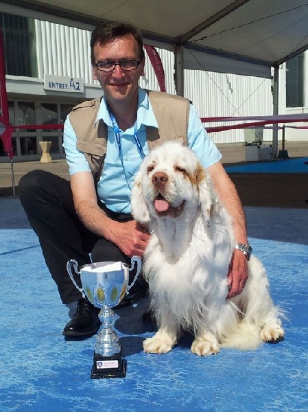 TR. CH. François 1 er Des Adrilines d'Opale - 1er exl CACIB MDR