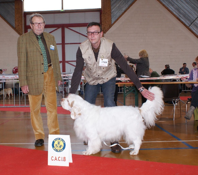 TR. CH. François 1 er Des Adrilines d'Opale - 1 er exl CACIB MDR