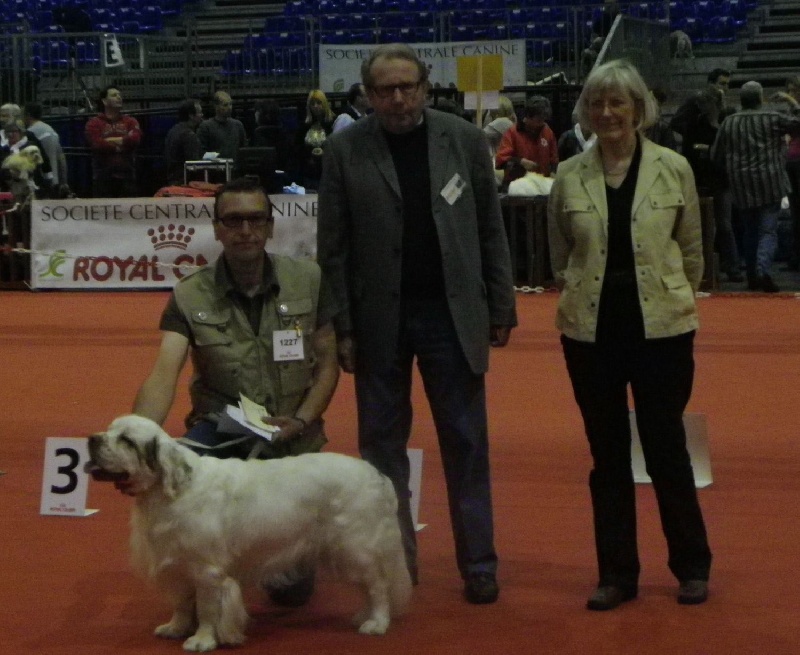 TR. CH. François 1 er Des Adrilines d'Opale - 1er exl cacs cacib meilleur de race