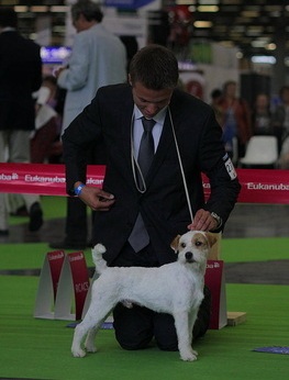 CH. Maxfly Full account - 1er exc. Champion du Monde Junior