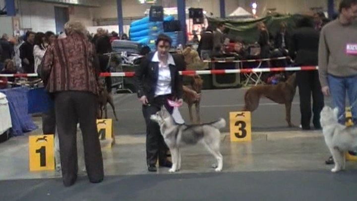 Karline of silverlight - 2eme tres prometteur baby