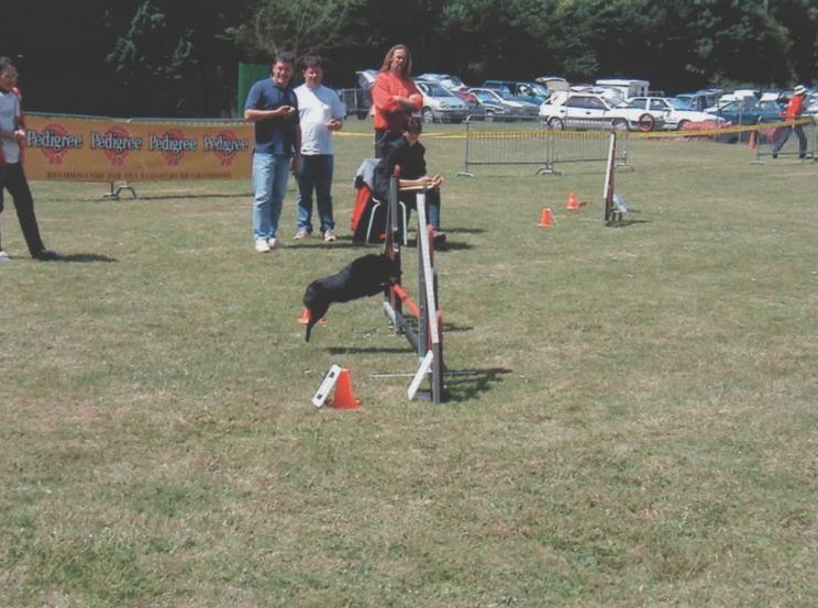 CH. Lutin du pont Catinat