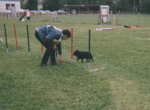 CH. Lutin du pont Catinat