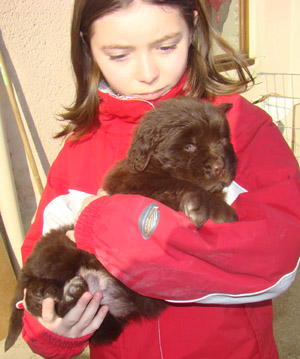 Publication : de Valoyan Auteur : M.MONTMESSIN