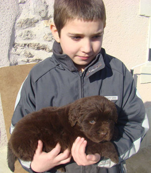 Publication : de Valoyan Auteur : M.MONTMESSIN