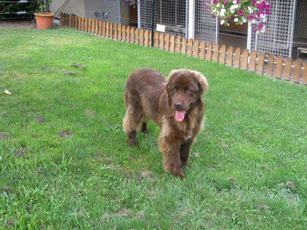 Publication : de Valoyan Auteur : M.MONTMESSIN