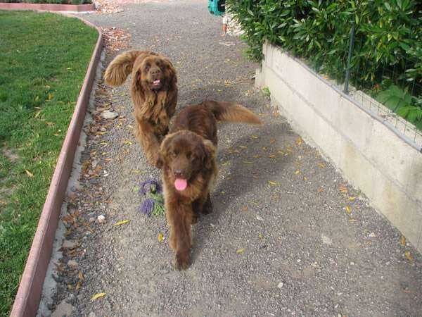 Publication : de Valoyan Auteur : M.MONTMESSIN