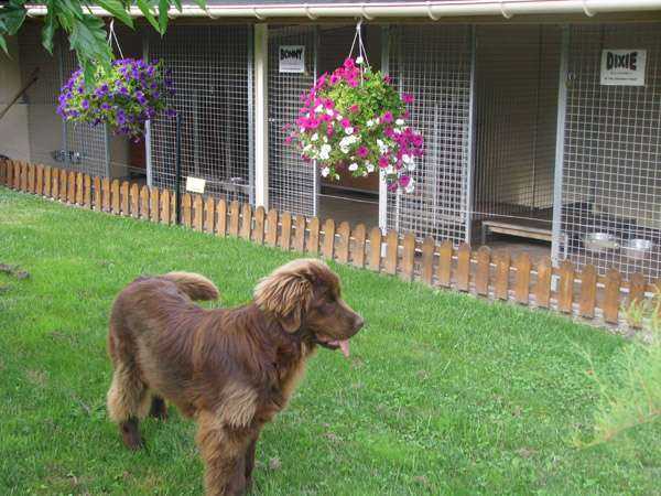 Publication : de Valoyan Auteur : M.MONTMESSIN