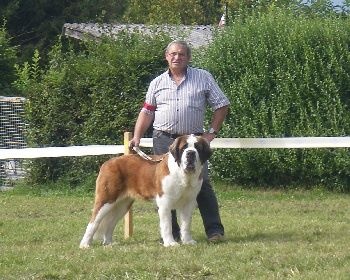 Elfe des Cinq Epis - 1er EXCELLENT CACA