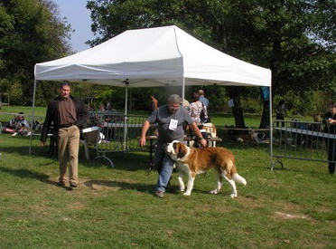 Elfe des Cinq Epis - TRES PROMETTEUR