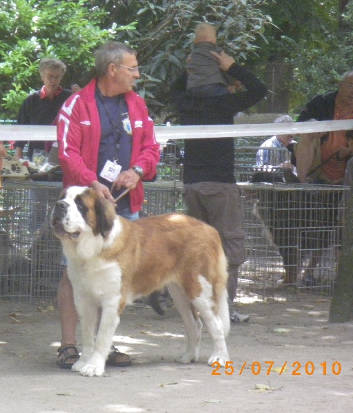 Elfe des Cinq Epis - 1ere EXCELLENT CACS MEILLEURE DE RACE