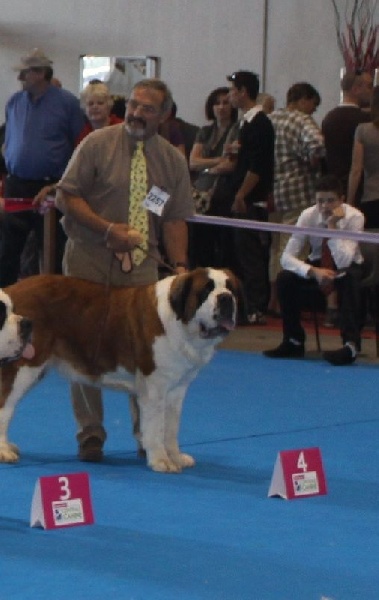 Elfe des Cinq Epis - 4 ème EXCELLENT