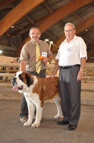 Elfe des Cinq Epis - 1er Excellent CACS CACIB Meilleur de Race