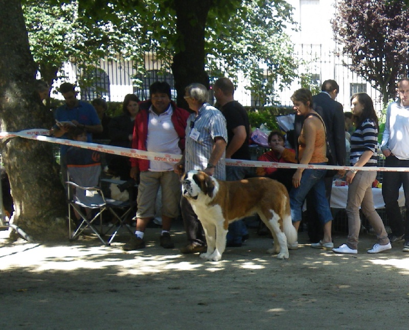 Elfe des Cinq Epis - 4ème EXCELLENT