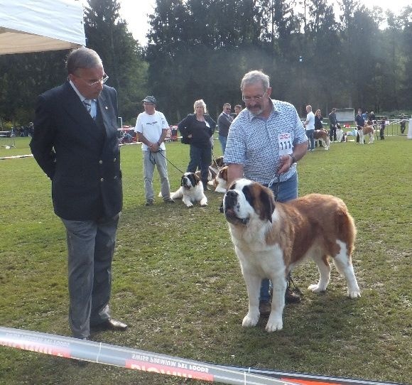 Elfe des Cinq Epis - EXCELLENT