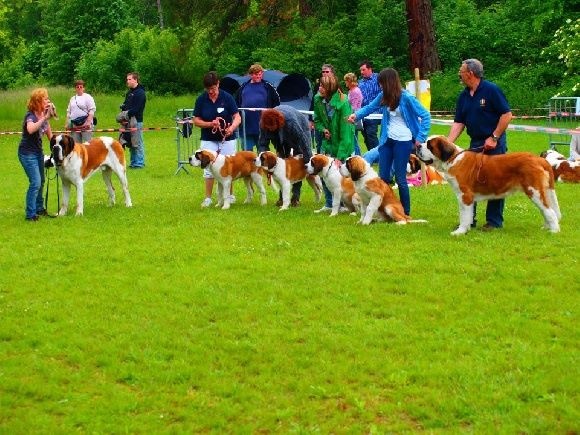 Elfe des Cinq Epis - EXCELLENT +