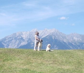 Elfe des Cinq Epis - EXCELLENT