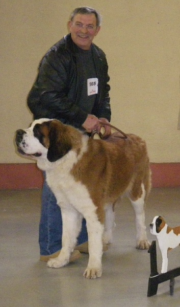 Elfe des Cinq Epis - 1 ére EXCELLENT