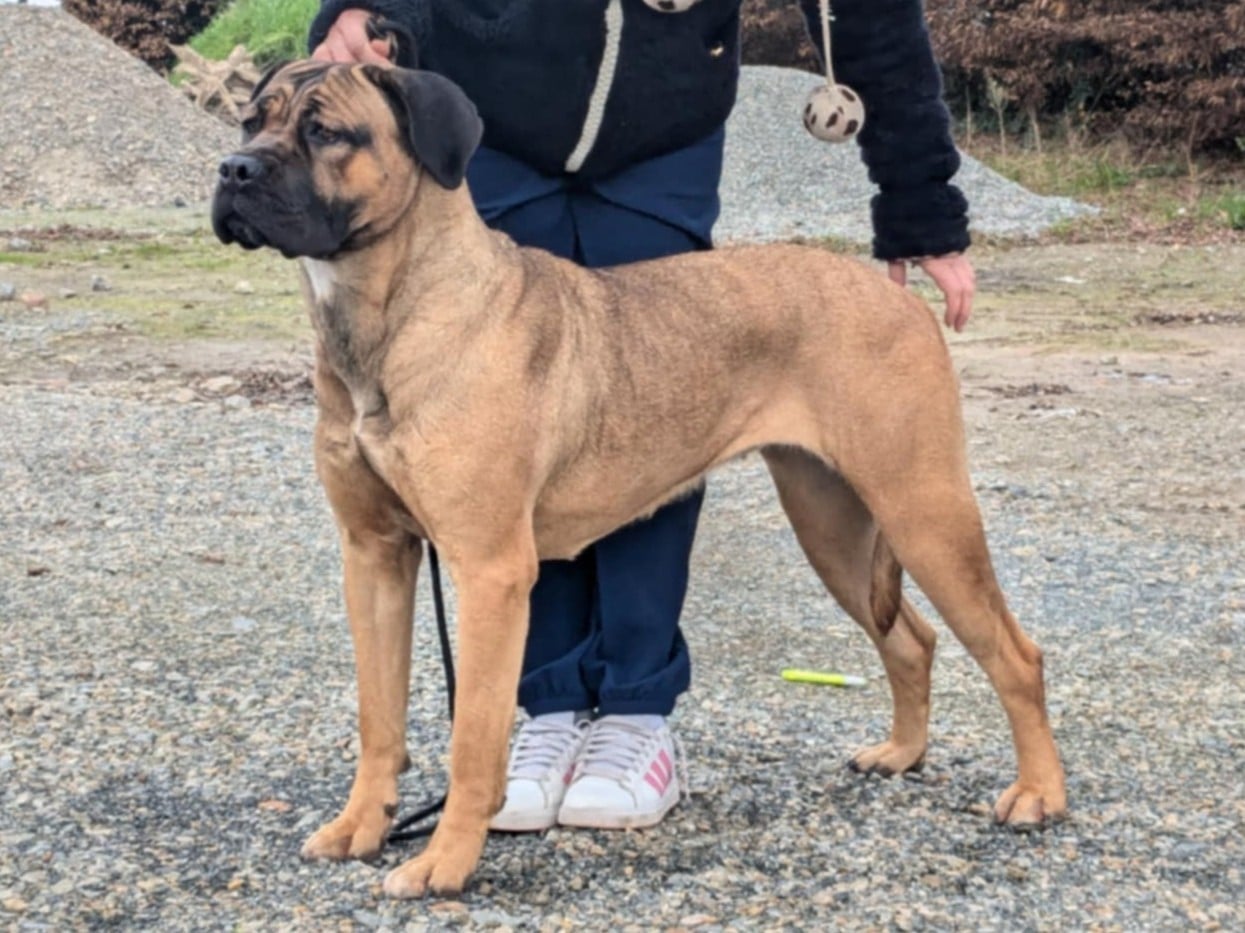 Publication : du Royaume de la Romance