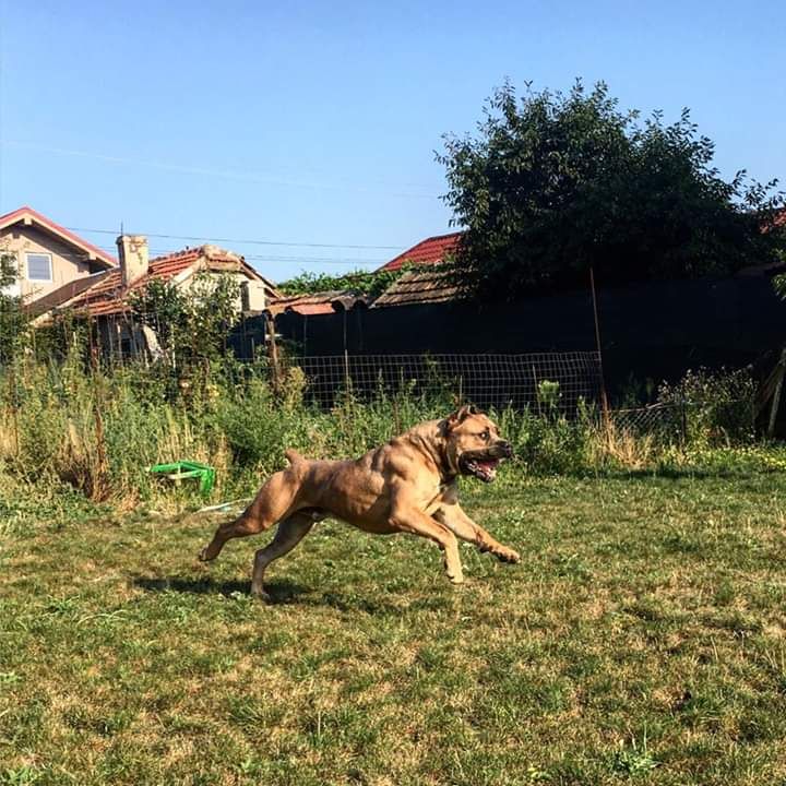 Publication : du domaine des Forts