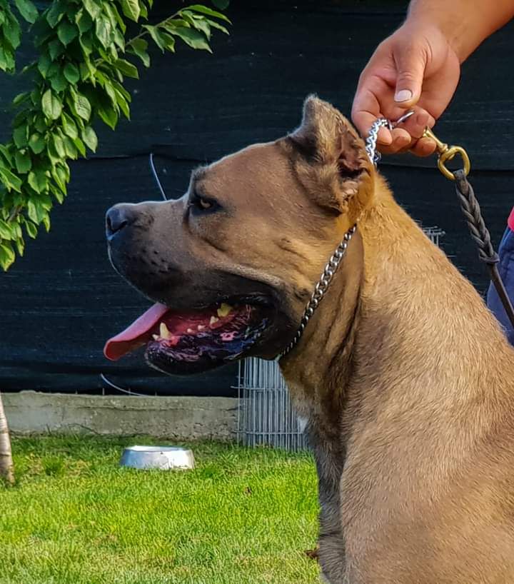 Publication : du domaine des Forts