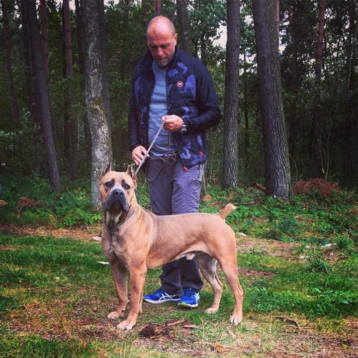 Publication : du domaine des Forts