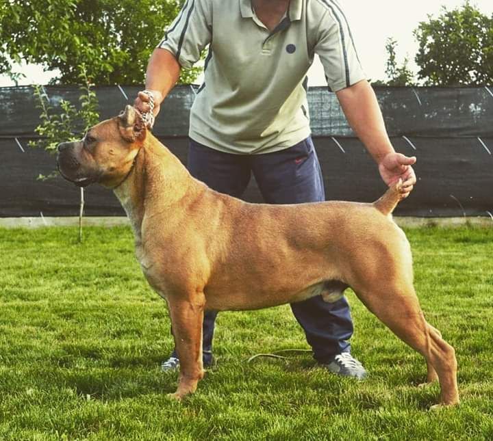 Publication : du domaine des Forts