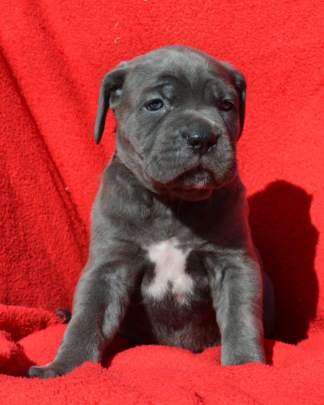 Best Vibe du Royaume de la Romance