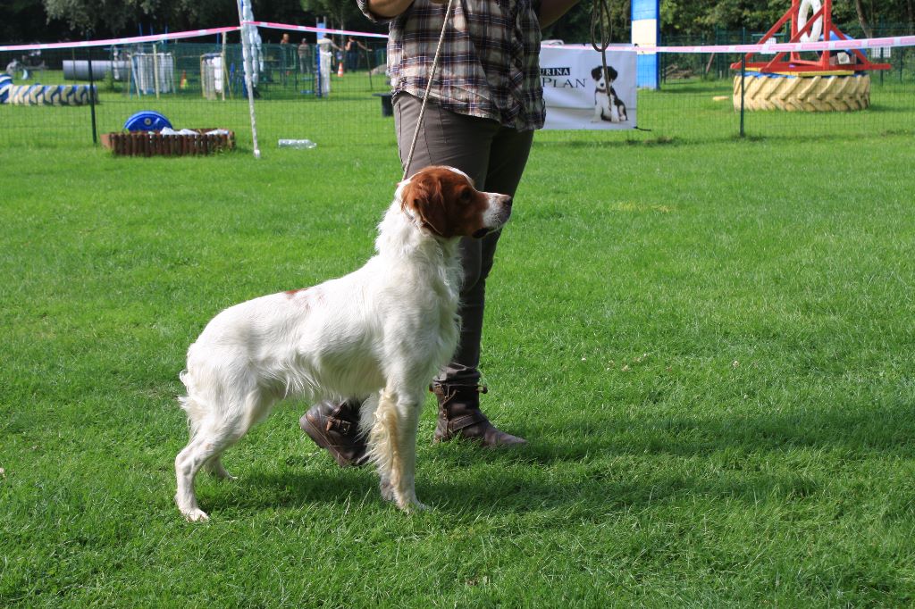 New look du Bois de Buisseret - 1 EX RCAC