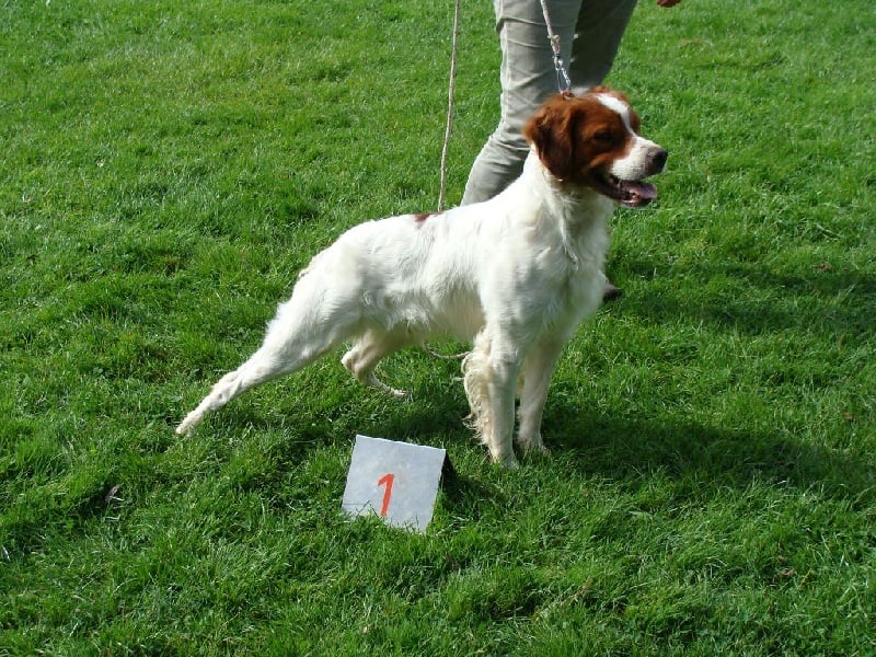 New look du Bois de Buisseret - 1 EX