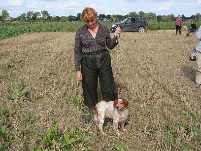 Oggy du Bois de Buisseret - réussi