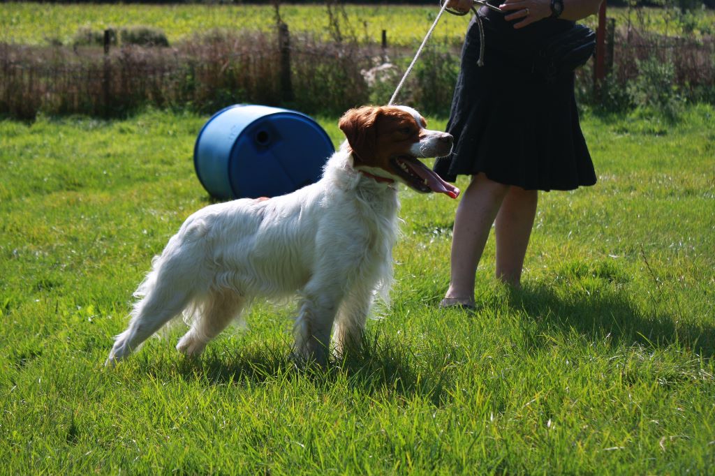 New look du Bois de Buisseret - CQN