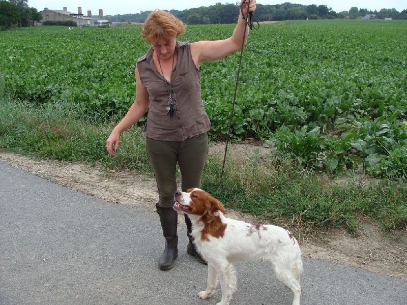 New look du Bois de Buisseret - TAN