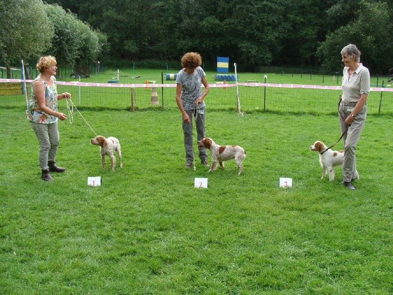 Oggy du Bois de Buisseret - 2 excellent