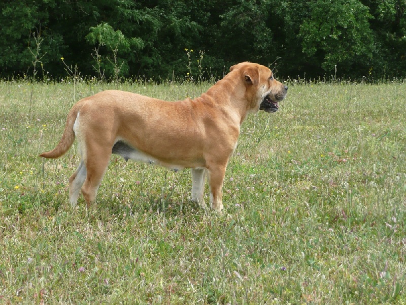 Publication : de Can Bourbon Auteur : can bourbon