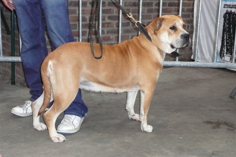 Publication : de Can Bourbon