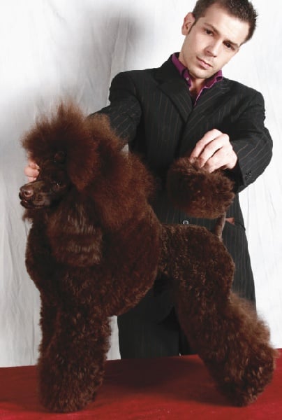 CH. Banana split Made by Paillotte - CACS RCACIB