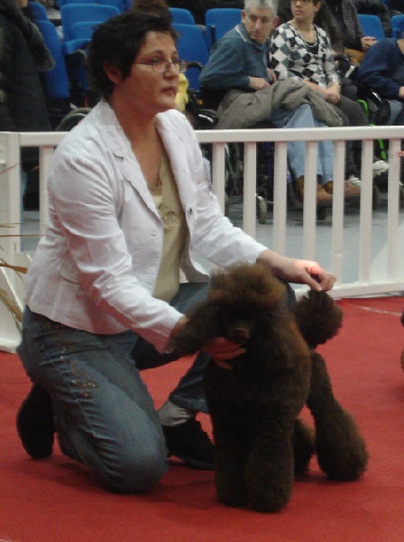 CH. Banana split Made by Paillotte - meilleur jeune