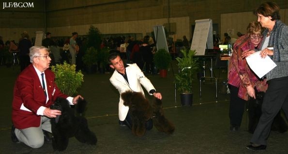 CH. Banana split Made by Paillotte - CAC Jeune, BOB Jeune