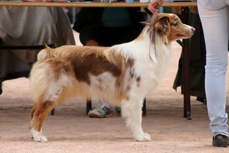 Publication : des Terres d'Urfé